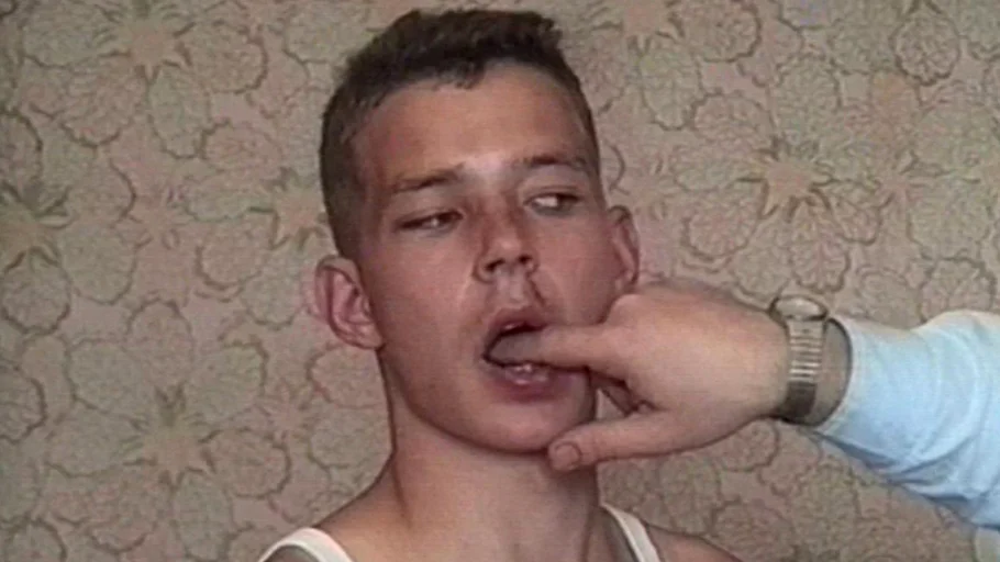 The Fall of Communism as Seen in Gay Pornography